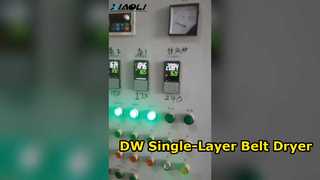 DW Single-layer Belt Dry