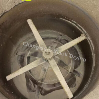 Βιομηχανικός Στεγνωτήρας Ταχείας Δράσης Σειράς Rotary XSG για Υλικά Υψηλού Ιξώδους