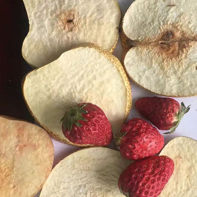 Γιαουρτιού φραουλών Jackfruit κενή αποξηραντική μηχανή τσιπ πατατών PLC παγώματος ξηρότερη