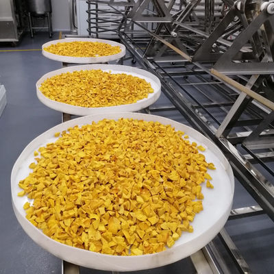 9KW αερόψυξης ξεραίνοντας φούρνος μικροκυμάτων φρούτων και λαχανικών ξηρότερος κενός