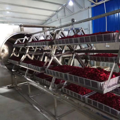38.4-48kg/H κενό Dehydrator 304 μικροκυμάτων ξεραίνοντας φούρνος φρούτων ανοξείδωτου