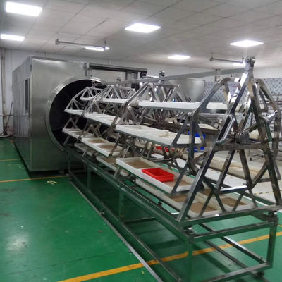 38.4-48kg/H κενό Dehydrator 304 μικροκυμάτων ξεραίνοντας φούρνος φρούτων ανοξείδωτου